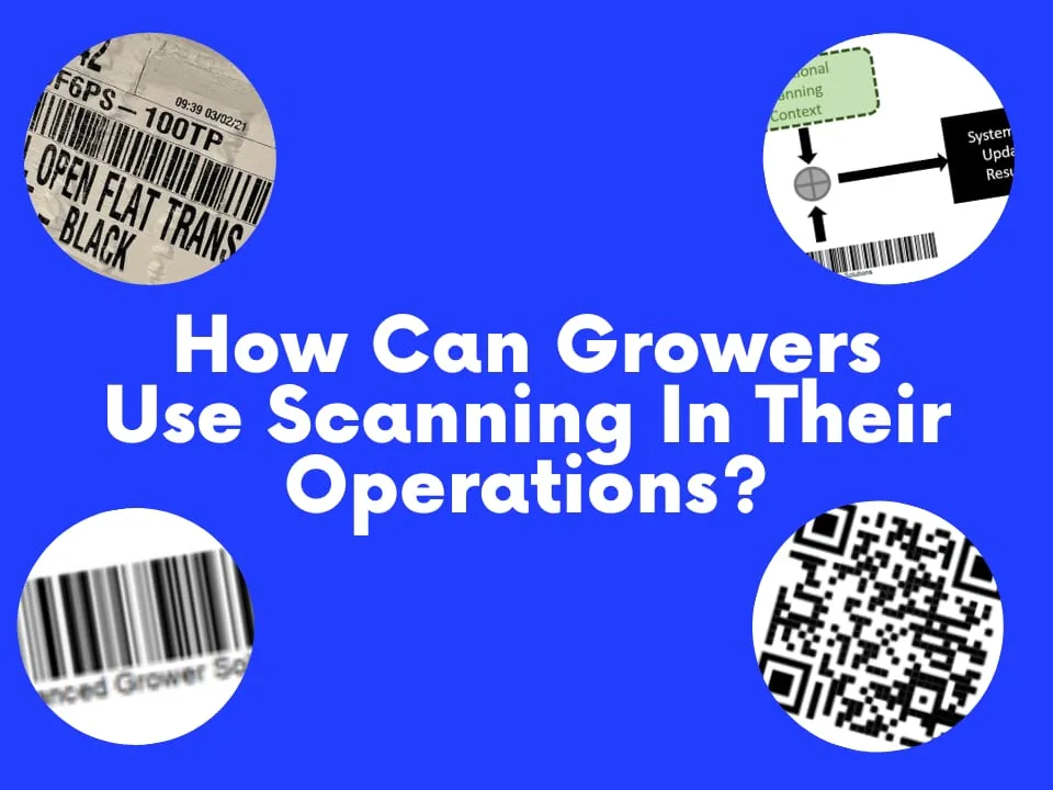 How Can Growers Use Scanning In Their Operations?