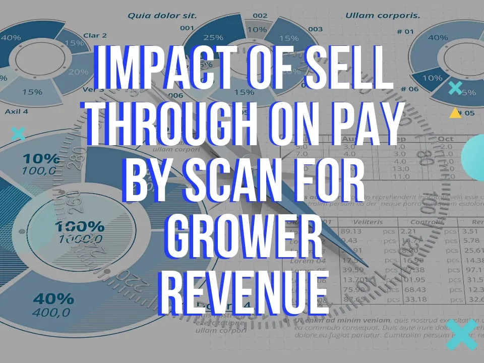 Impact of Sell through on Pay by Scan for Grower Revenue