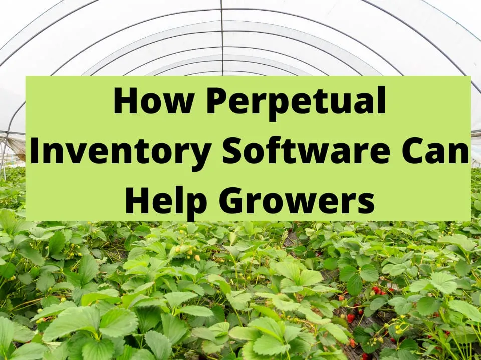 How Perpetual Inventory Software Can Help Growers