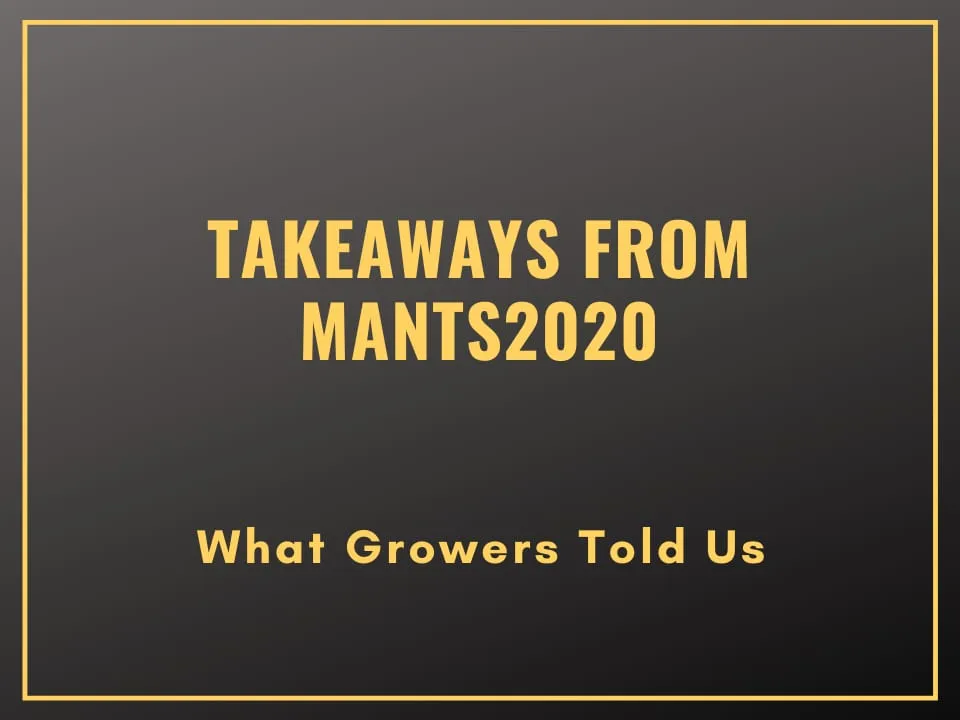 Takeaways From MANTS2020