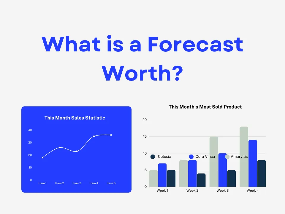 What Is A Forecast Worth?