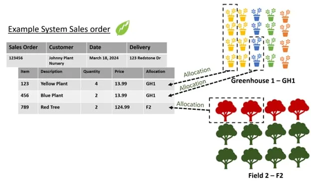 examplesalesorder