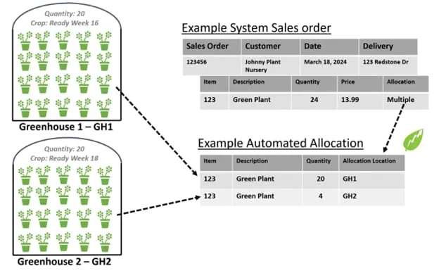 examplesalesorder2