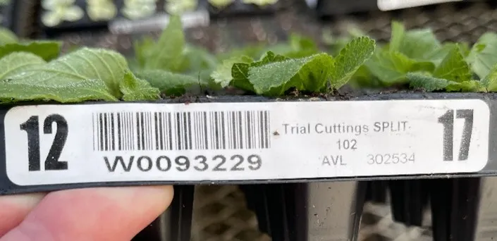 scannableproductsticker